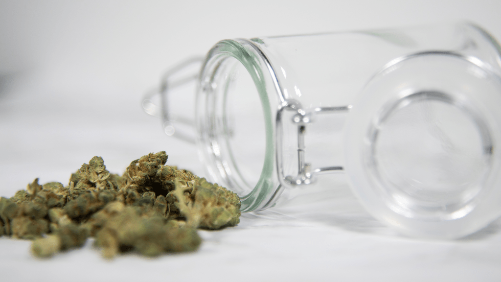 The AI-Powered Supply Chain: Cannabis Distribution in the Digital Age